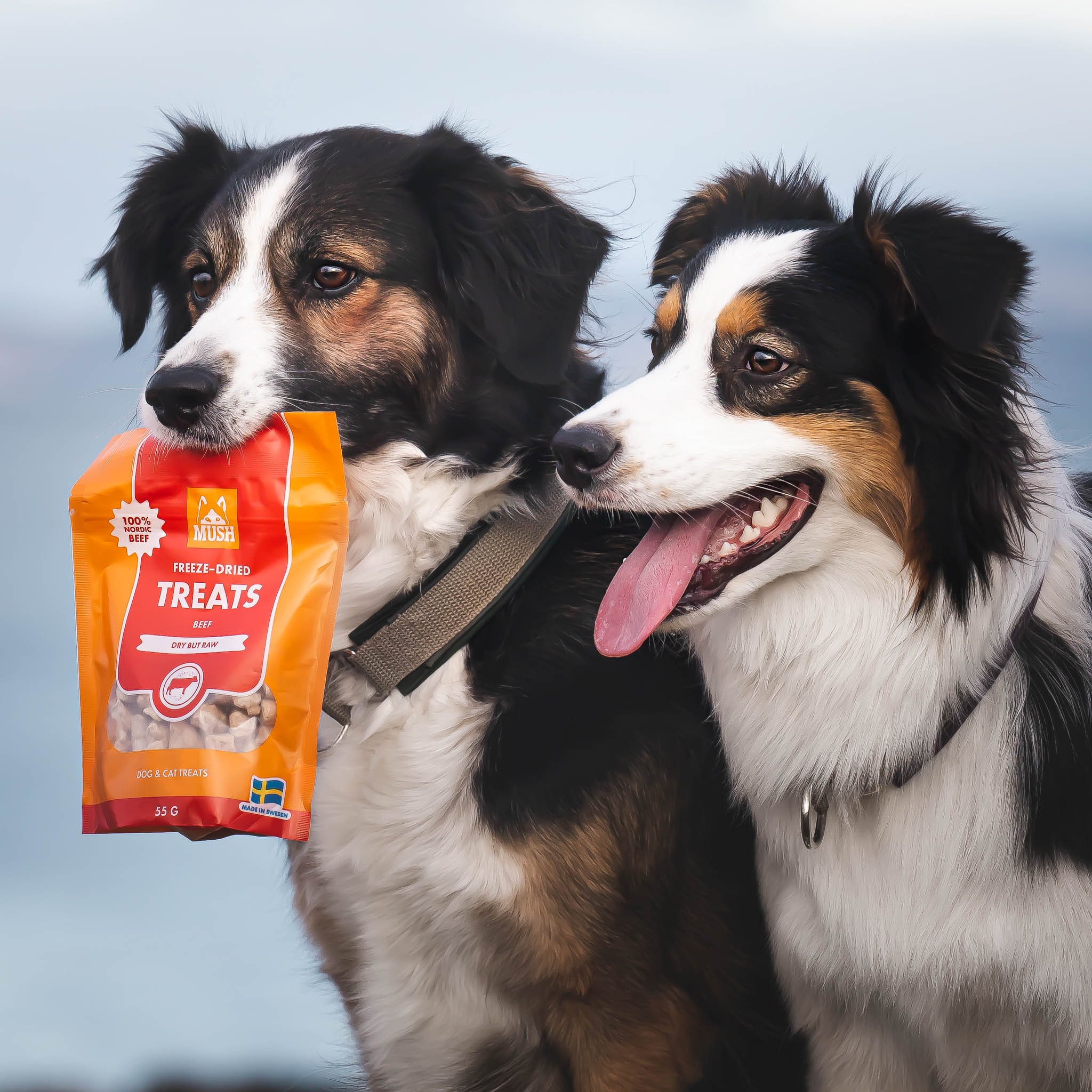 MUSH Treats Frysetørket Storfe 55g