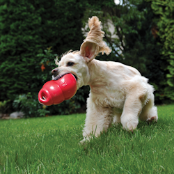 KONG Bounzer M