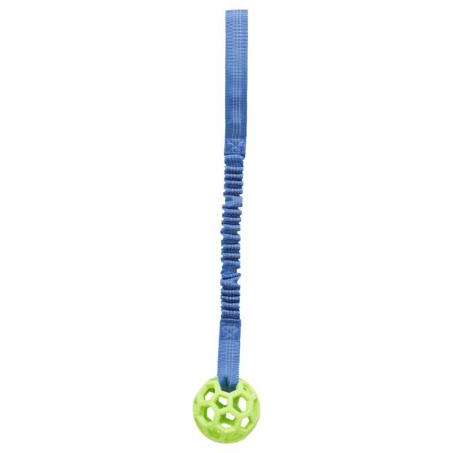 Bungee Tau M/Ball i TPR Ø9cm/48cm
