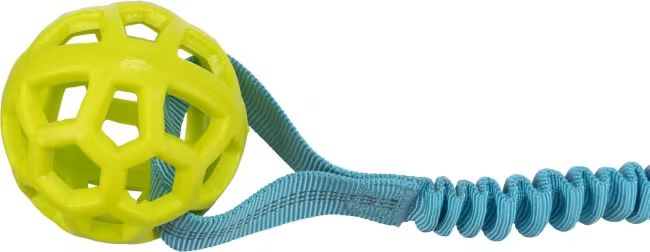 Bungee Tau M/Ball i TPR Ø9cm/48cm