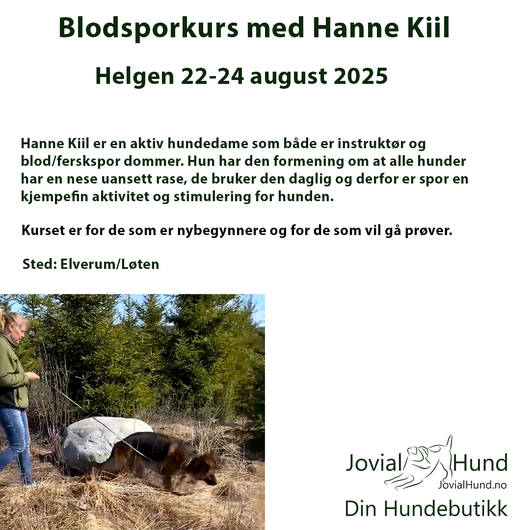 Blodsporkurs