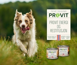 Provit Restitusjon 185g Boks