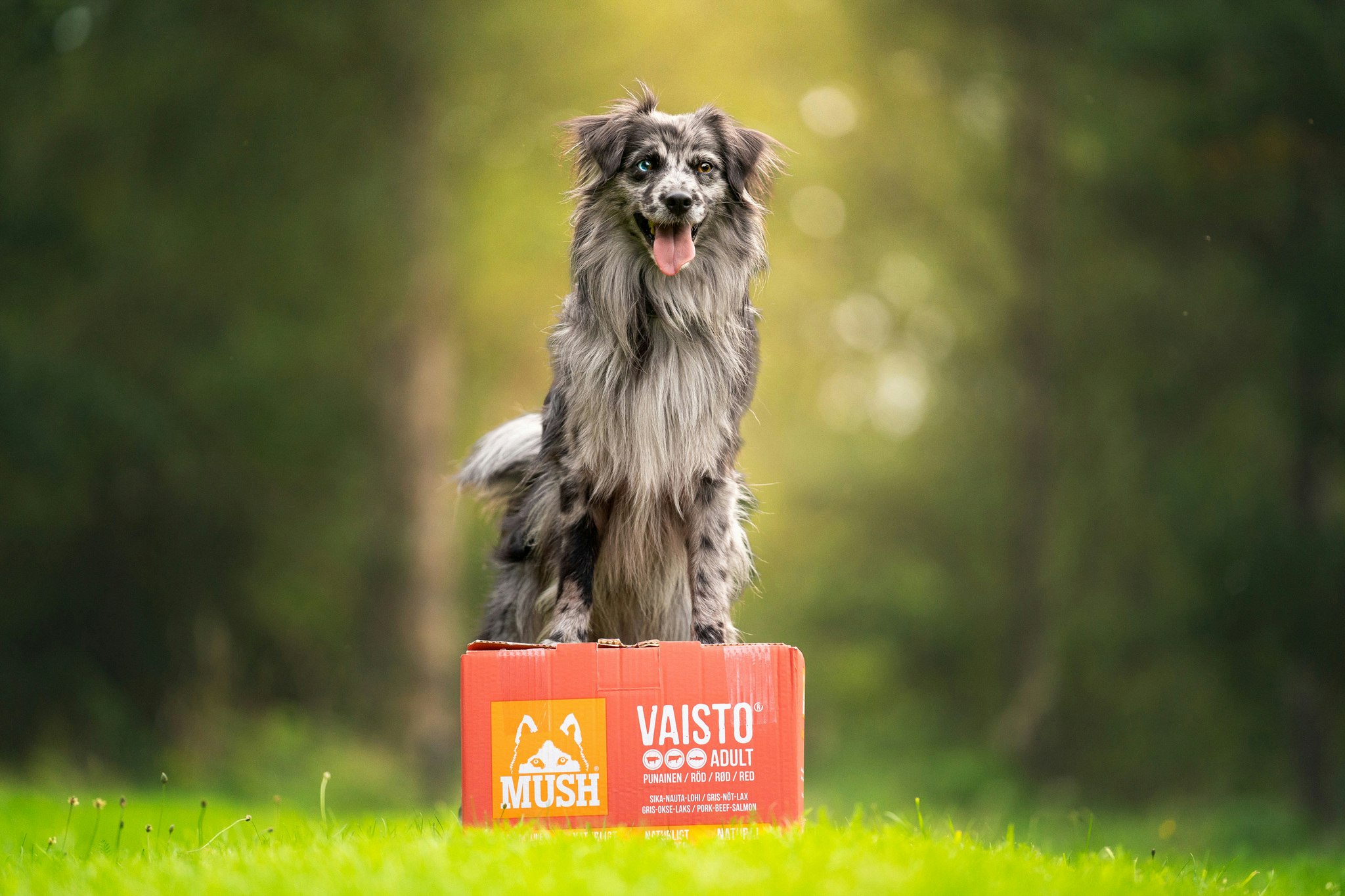 MUSH Vaisto® Rød (Gris-Okse-Laks)