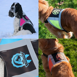 Canelana refleksdekken-refleksvest hund