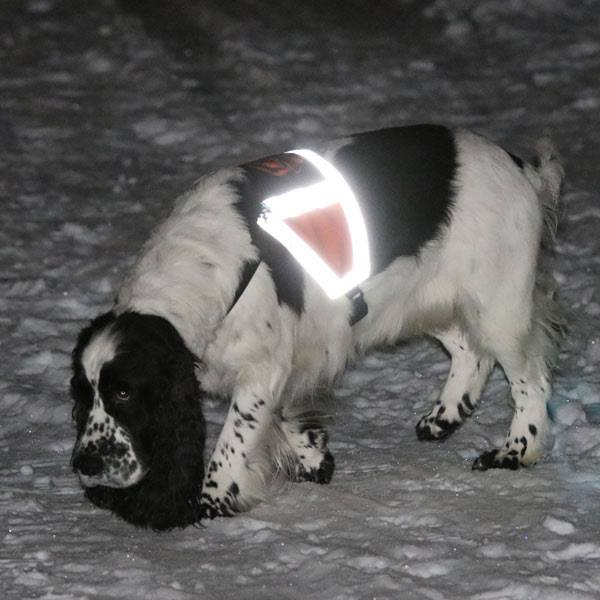 Canelana refleksdekken-refleksvest hund