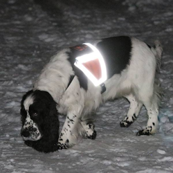 Canelana refleksdekken-refleksvest hund