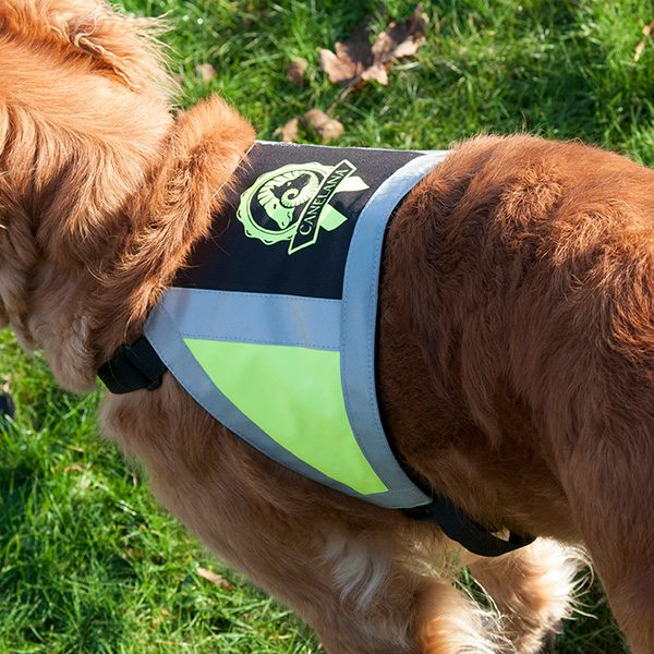 Canelana refleksdekken-refleksvest hund