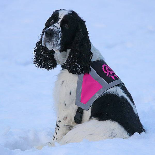 Canelana refleksdekken-refleksvest hund