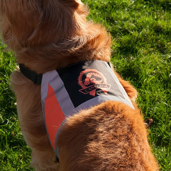 Canelana refleksdekken-refleksvest hund