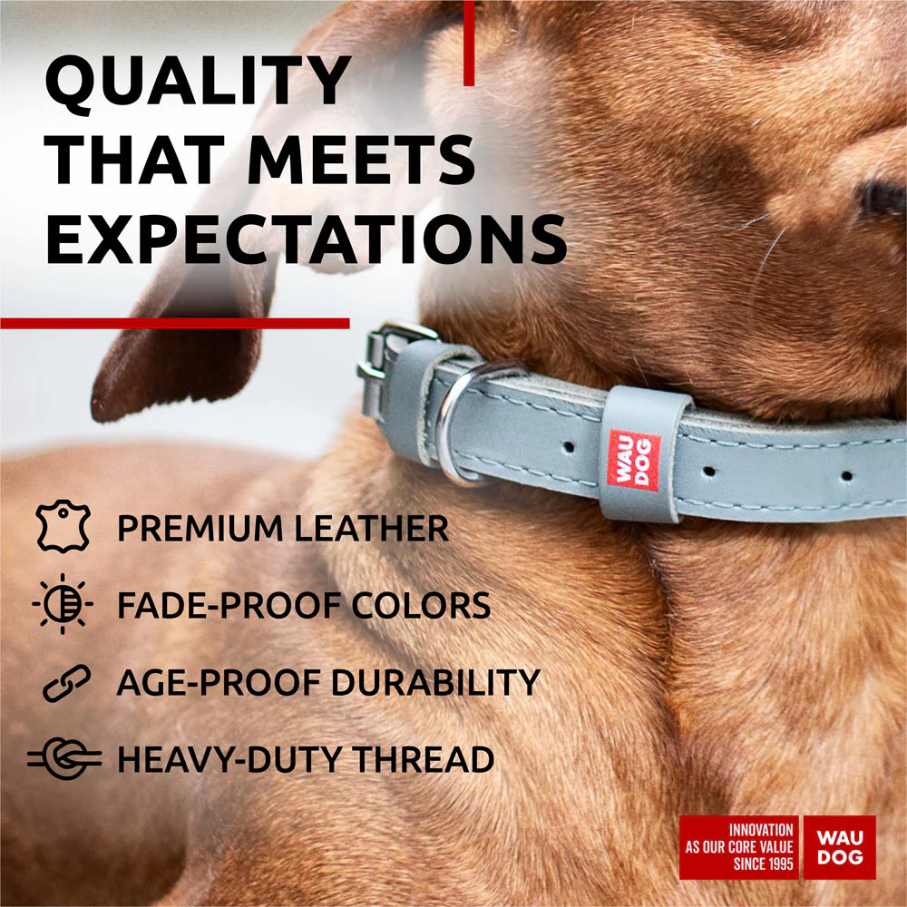 Collar Waudog Lærhalsbånd Grå