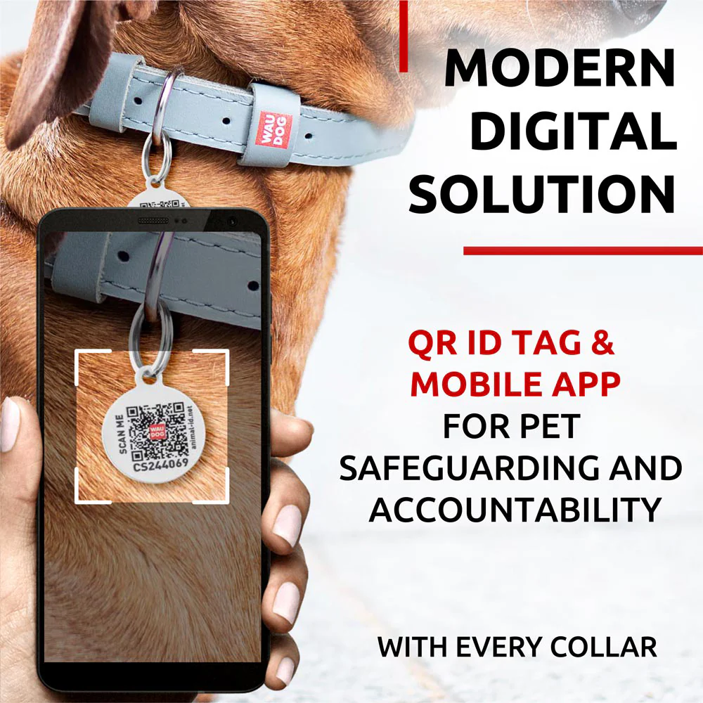 Collar Waudog Lærhalsbånd Grå
