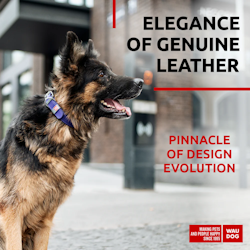 Collar Waudog Lærhalsbånd Lilla