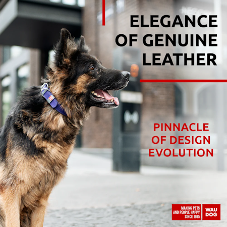 Collar Waudog Lærhalsbånd Lilla