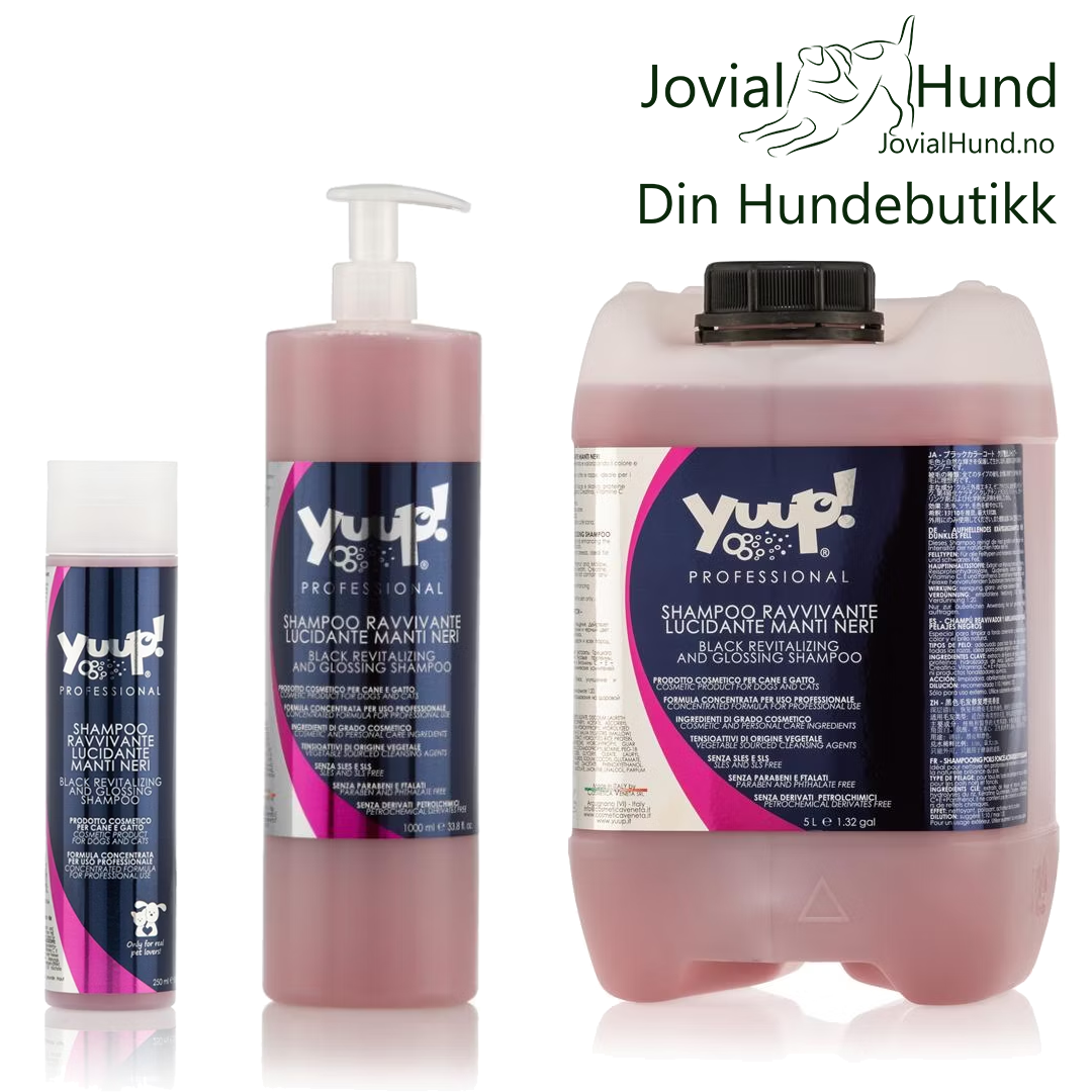 Yuup! Pro Black Revitalizing and Glossing Shampoo 250ml & 1L