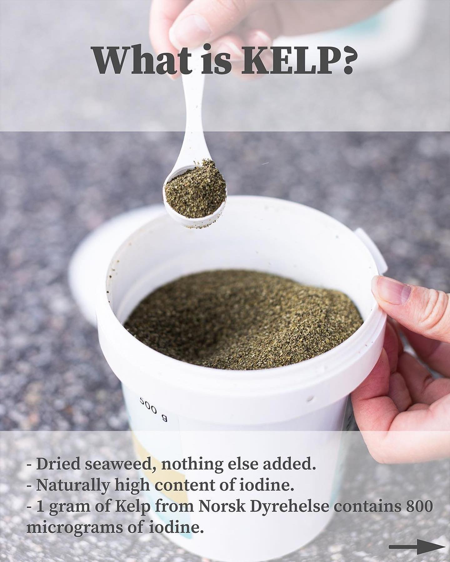 ND Kelp 500gr