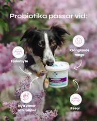 ND Probiotica 160g
