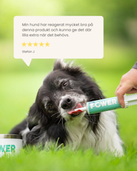 ND Power med smak av laks 60g