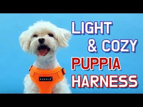 Puppia Crayon Harness C Blå / Navy