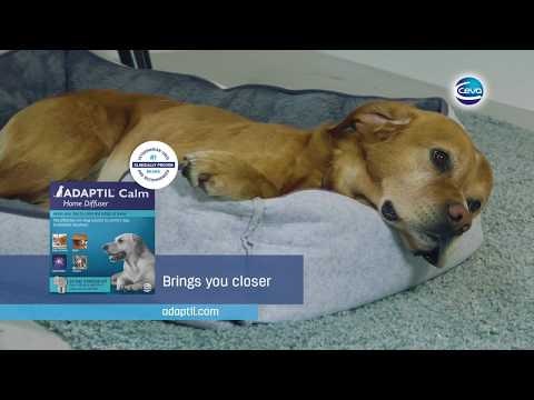 Adaptil Diffuser Home Startpakke