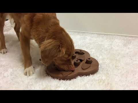 Nina Ottosson Puppy Hide`N`Slide