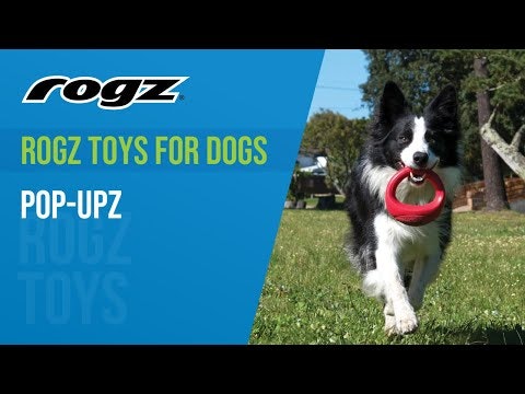 Rogz Pop-upz Rosa