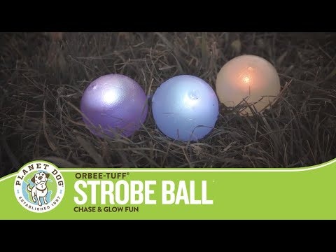 Planet Dog Strobe Ball Hvit med multifarget LED lys