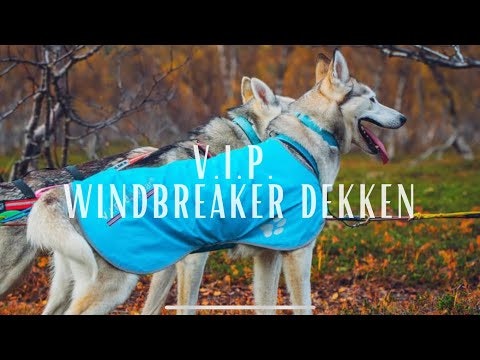 VIP Windbreaker XS