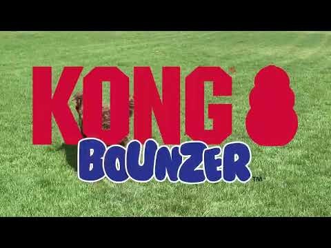 KONG Bounzer M