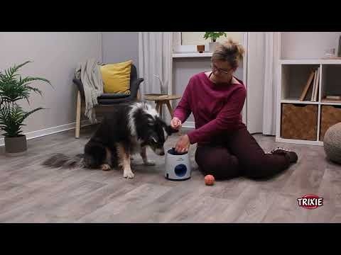 Dog Activity Ball & Treat Level 3