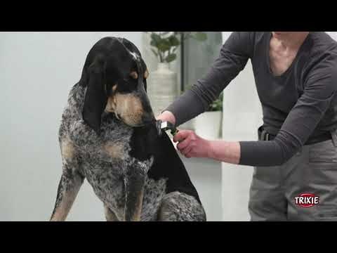 Trixie Hundesaks Professional Rustfritt Stål 20cm