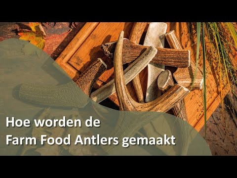 Farm Food Antlers Hjorte Gevir Easy