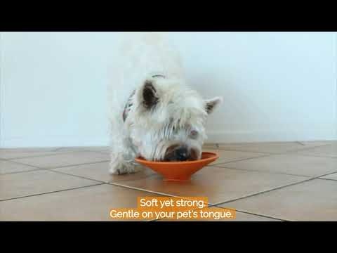 Lickimat Splash Grøn Hundskål
