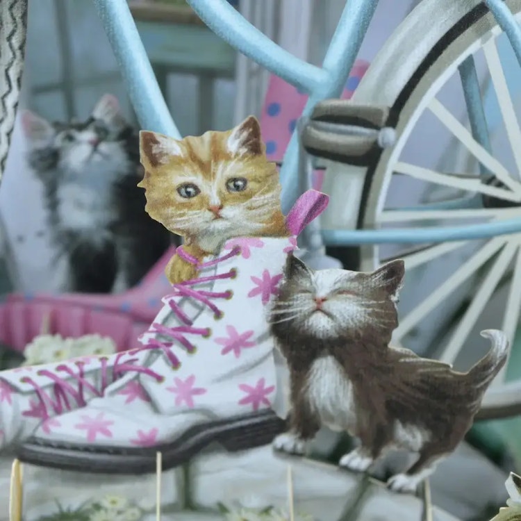 Kattungar vid cykeln (6 kort med kuvert)