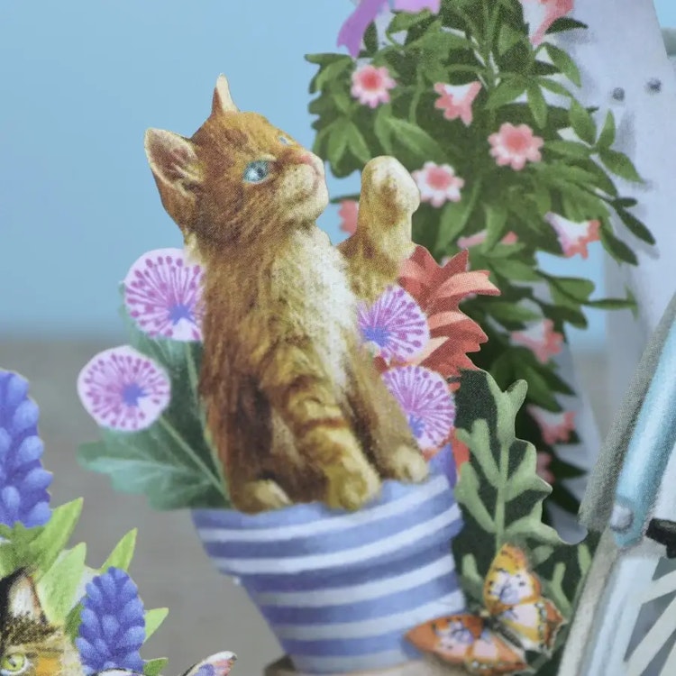 Kattungar vid cykeln (6 kort med kuvert)