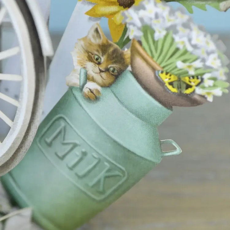 Kattungar vid cykeln (6 kort med kuvert)