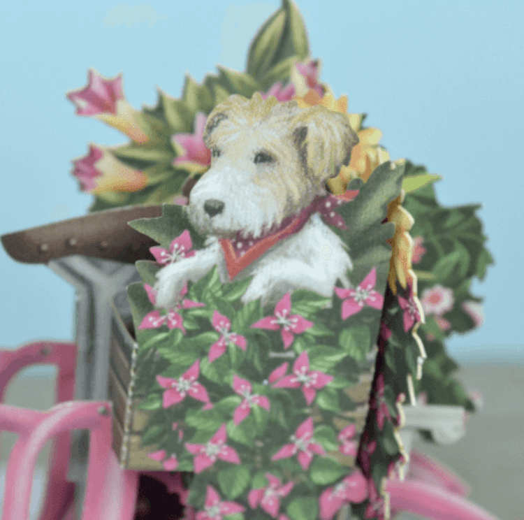 Blomstervagnen  (6 kort med kuvert)