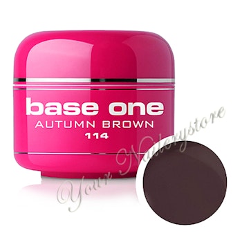 Base One Colour UV-Gel 5g, 114 Autumn Brown