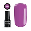 Gellack Color IT Premium 6g, 1640