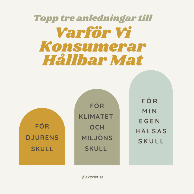 Hållbar konsument