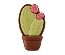 Pralin & Tryffel - Kaktus Rosa - Mjölkchoklad