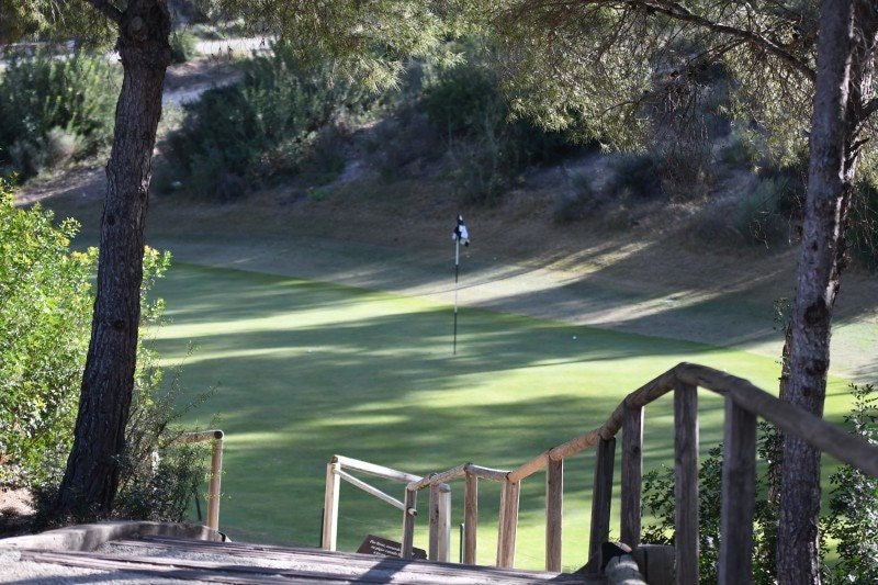 🏌️ Vilken golfhandske ska man ha?