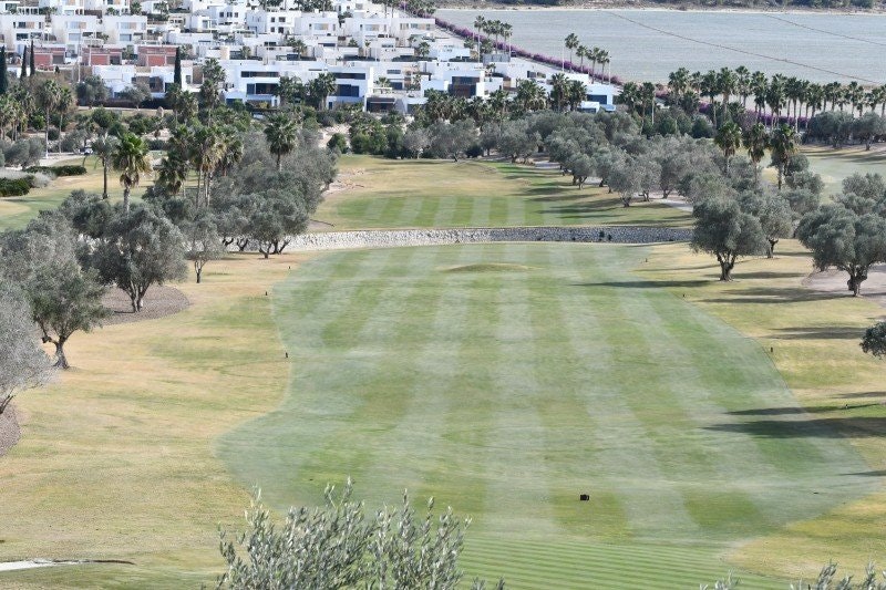 Vi som älskar golfbanor!