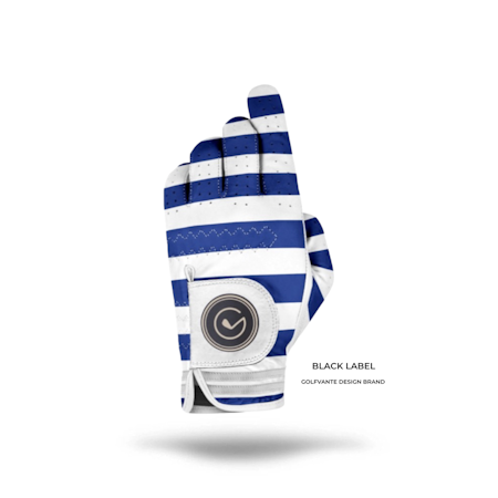 BLUE ZEBRA by Stina - DAM