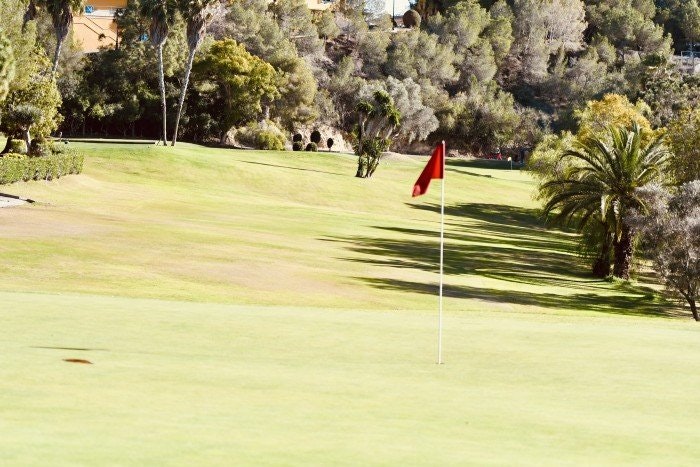 Golfvante