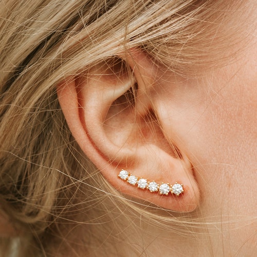 Dazzling earrings
