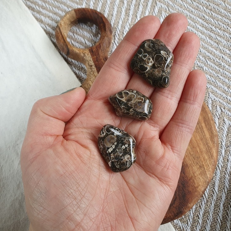 Trumlad Turitella Agat 5-9 g XS