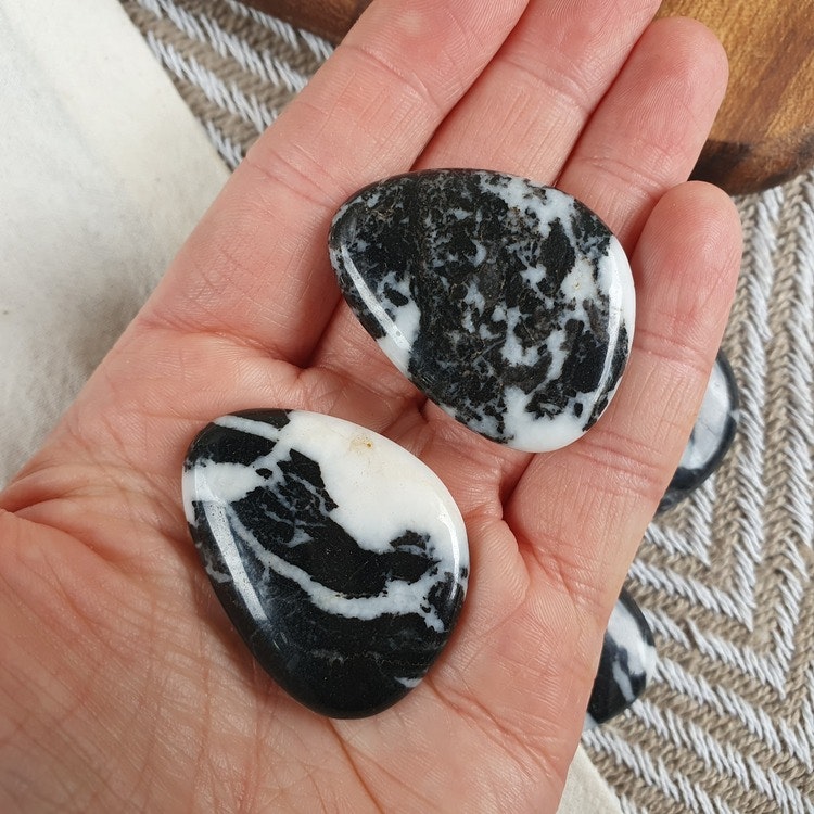 Handsten av Zebra Jaspis