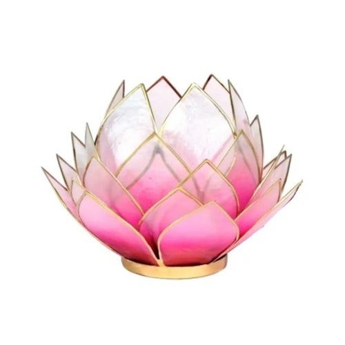 Lotus Bud Vit/Rosa/guld 15 cm