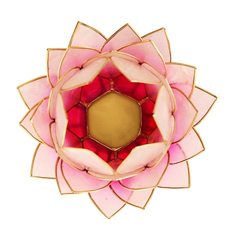 Lotus Bud Vit/Rosa/guld 15 cm