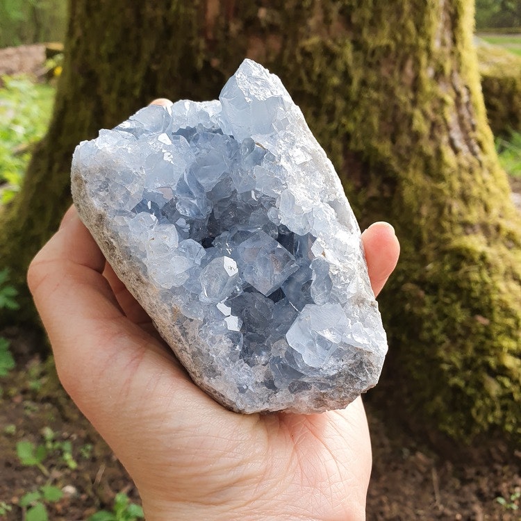 Kluster av Celestite, 805 g. Detta ex.